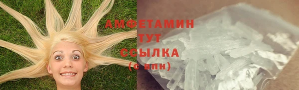 сатива Богданович
