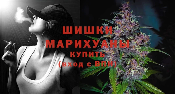 сатива Богданович