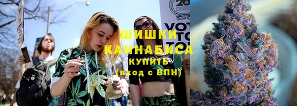 сатива Богданович