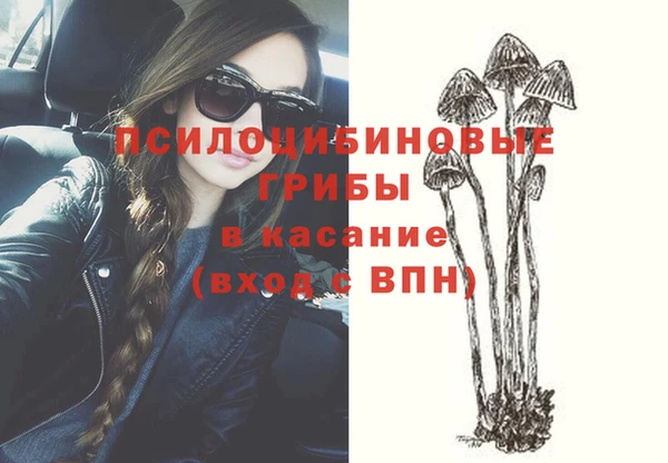 экстази Богородицк