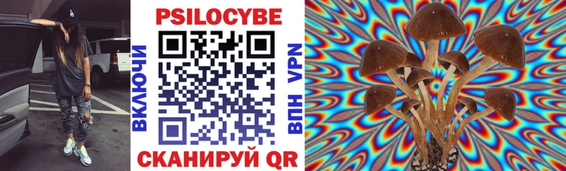 цена наркотик  Петрозаводск  Галлюциногенные грибы MAGIC MUSHROOMS 